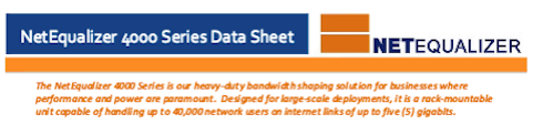 NE4000 Data Sheet